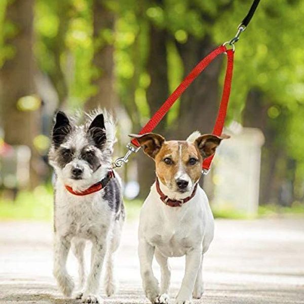dog collars & leashes 1pcs blue/red/black lead double pet leash 45cm splitter coupler for collar harness supplies
dog collars & leashes 1pcs blue/red/black lead double pet leash 45cm splitter coupler for collar harness supplies
