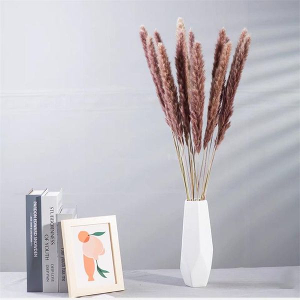 decorative flowers & wreaths 10pcs pampas grass small reed home decor dried flower indie room decoration preserved artificial plants diyfor
decorative flowers & wreaths 10pcs pampas grass small reed home decor dried flower indie room decoration preserved artificial plants diyfor