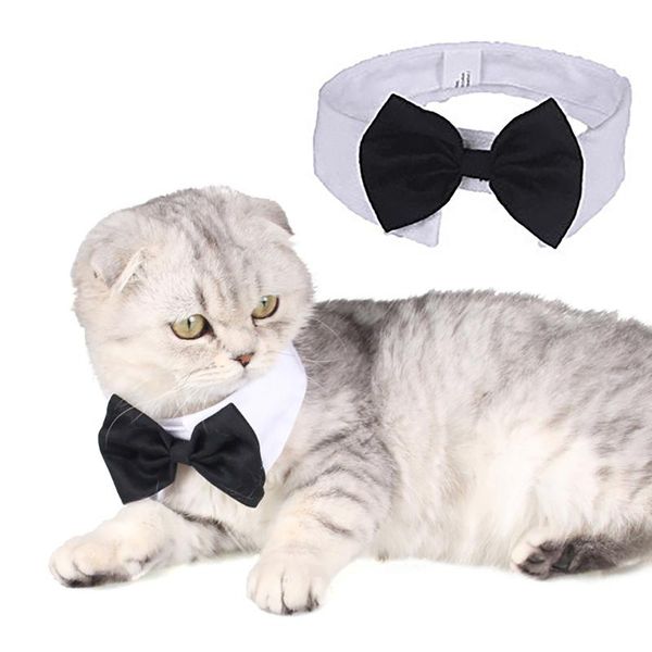 pet puppy kitten dogs cat adjustable bow tie collar necktie bowknot decor bowtie holiday wedding decoration accessories dog apparel
pet puppy kitten dogs cat adjustable bow tie collar necktie bowknot decor bowtie holiday wedding decoration accessories dog apparel