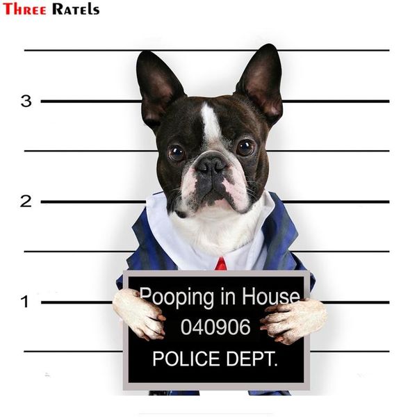 wall stickers three ratels ftc-882 cute guilty of love french bull boston terrier dog sticker decal for guitar lapclassic
wall stickers three ratels ftc-882 cute guilty of love french bull boston terrier dog sticker decal for guitar lapclassic