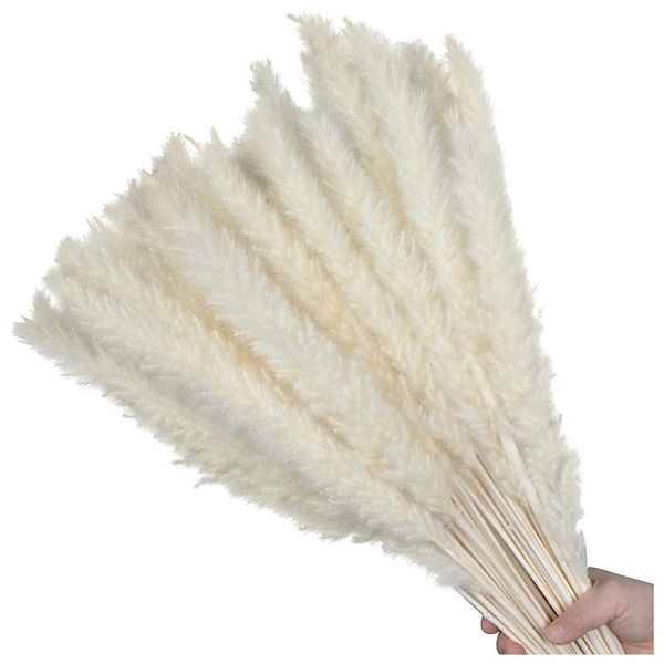 decorative flowers & wreaths 60pcs pampas grass 17.72inch, dried pompous pompass branches for vase flower arrangement wedding home decor(whi
decorative flowers & wreaths 60pcs pampas grass 17.72inch, dried pompous pompass branches for vase flower arrangement wedding home decor(whi