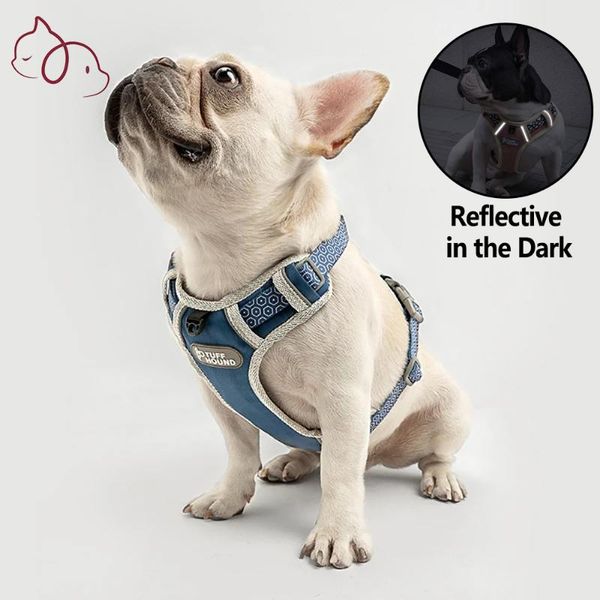 dog harness for small dogs leash collar breakaway accessories medium pet products pug pitbull collars & leashes
dog harness for small dogs leash collar breakaway accessories medium pet products pug pitbull collars & leashes