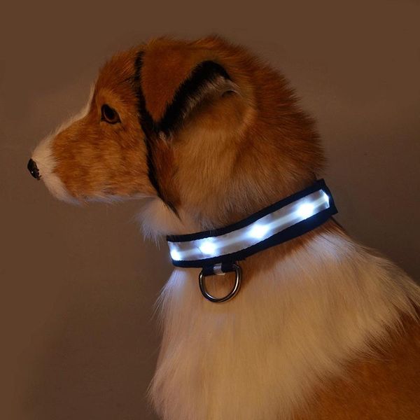 dog collars & leashes nylon collar lamp with luminous teddy golden retriever adjustable personalized for dogs harnesses
dog collars & leashes nylon collar lamp with luminous teddy golden retriever adjustable personalized for dogs harnesses