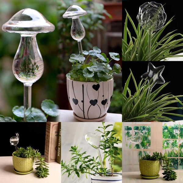 watering equipments 6 types glass plant flowers water feeder automatic self devices bird star heart design waterer
watering equipments 6 types glass plant flowers water feeder automatic self devices bird star heart design waterer
