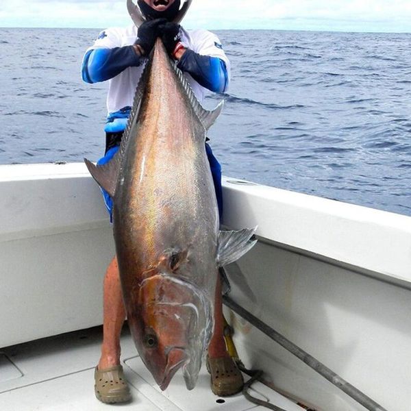 durable double fishing hook portable assist jig with barb accessory ya88 hooks 
durable double fishing hook portable assist jig with barb accessory ya88 hooks