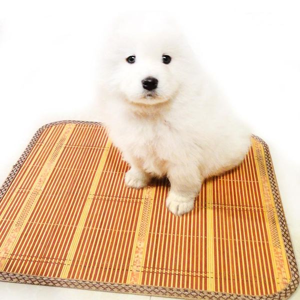 kennels & pens pet dog cool double-sided mat cat wo dian edge cooling bed blanket large
kennels & pens pet dog cool double-sided mat cat wo dian edge cooling bed blanket large