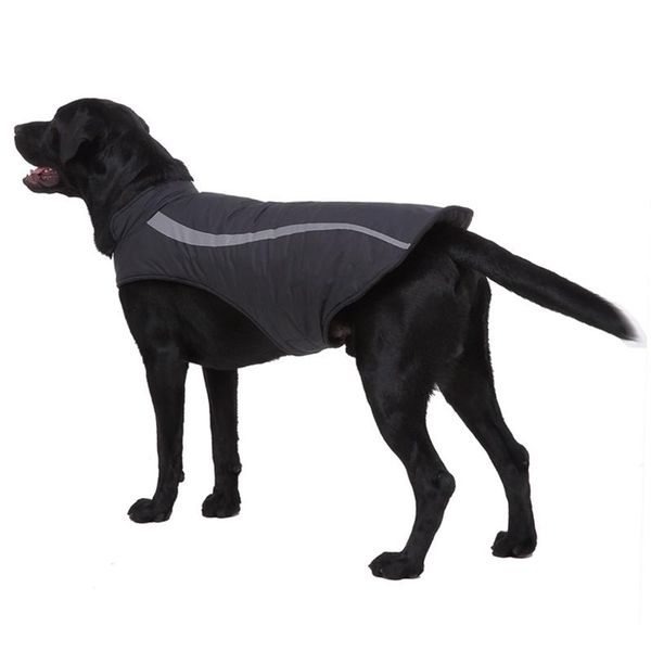 dog apparel reflective large clothes winter puppy jacket warm fleece pet coat waterproof clothing vest for small medium big dogs
dog apparel reflective large clothes winter puppy jacket warm fleece pet coat waterproof clothing vest for small medium big dogs