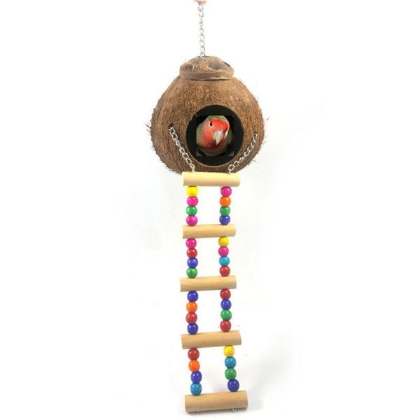 bird cages coconut shell grass parrot nest budgie breeding with colorful ladder supplies
bird cages coconut shell grass parrot nest budgie breeding with colorful ladder supplies
