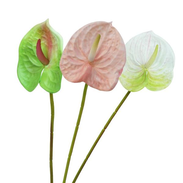 decorative flowers & wreaths 3pcs natural fresh artificial flower home deskdisplay realistic decor wedding decoration high grade
decorative flowers & wreaths 3pcs natural fresh artificial flower home deskdisplay realistic decor wedding decoration high grade