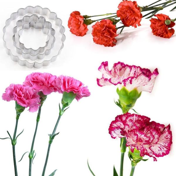 cake tools carnations petals stainless stell cookie cutter pastry & biscuit baking decoration cupcake mold fondant
cake tools carnations petals stainless stell cookie cutter pastry & biscuit baking decoration cupcake mold fondant
