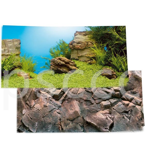 decorations juwel hd fishbowl scenery package simulating water and grass background artificial hill conch arrangement aquarium plant setting
decorations juwel hd fishbowl scenery package simulating water and grass background artificial hill conch arrangement aquarium plant setting