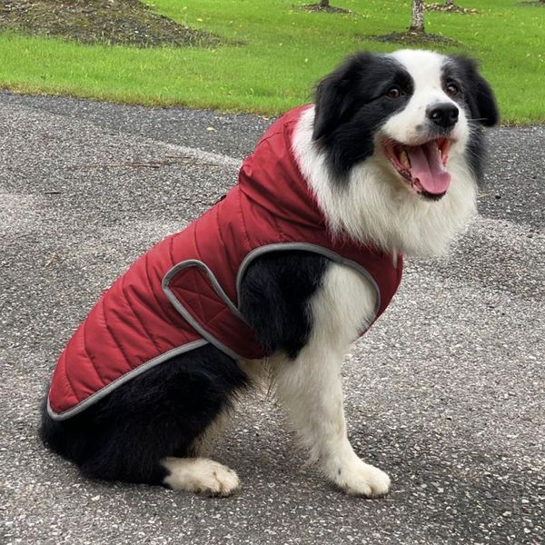 dog apparel pet clothes winter hooded style coat warm comfortable soft durable fashion hoodie suitable for daily wear
dog apparel pet clothes winter hooded style coat warm comfortable soft durable fashion hoodie suitable for daily wear