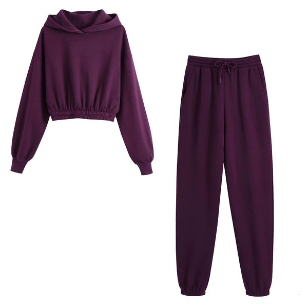 pants women two piece set cropped sweatshirt hoodie pullover & jogging trousers elastic waist ensemble femme 2 pieces, White
pants women two piece set cropped sweatshirt hoodie pullover & jogging trousers elastic waist ensemble femme 2 pieces, White