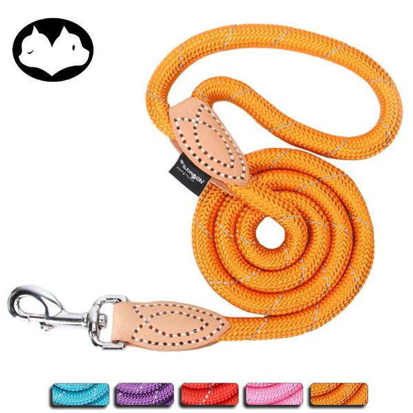 cute dog leash reflective for dogs nylon hands leashes pet product accessories basic collars &
cute dog leash reflective for dogs nylon hands leashes pet product accessories basic collars &
