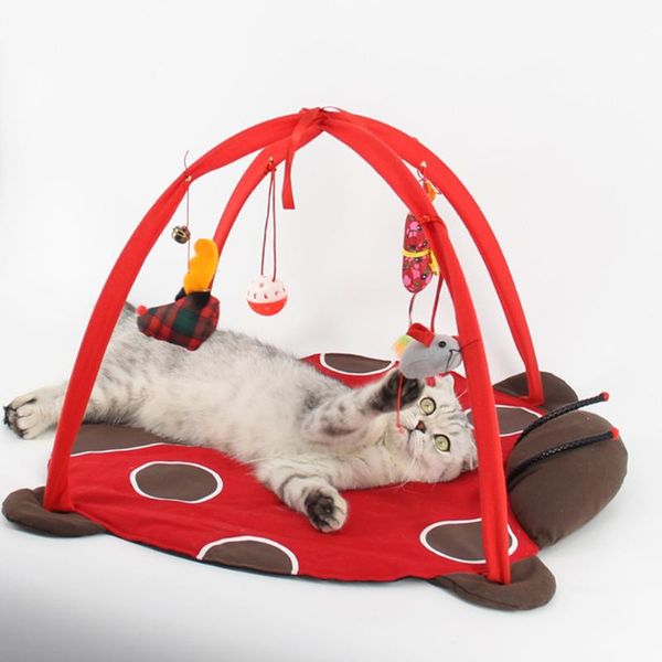 cat play mat bed with 4 hanging toys balls toy for cats canvas material durable and non-toxic beds & furniture
cat play mat bed with 4 hanging toys balls toy for cats canvas material durable and non-toxic beds & furniture