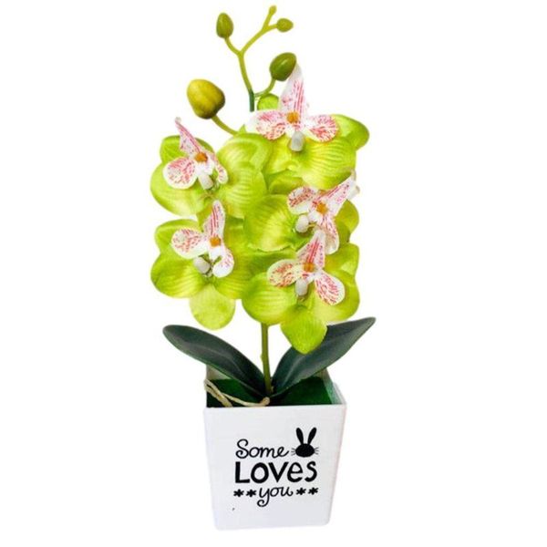 simulation phalaenopsis artificial plastic bonsai potted plant wedding flower decorations ornaments home simulat j1p7 decorative flowers & w
simulation phalaenopsis artificial plastic bonsai potted plant wedding flower decorations ornaments home simulat j1p7 decorative flowers & w