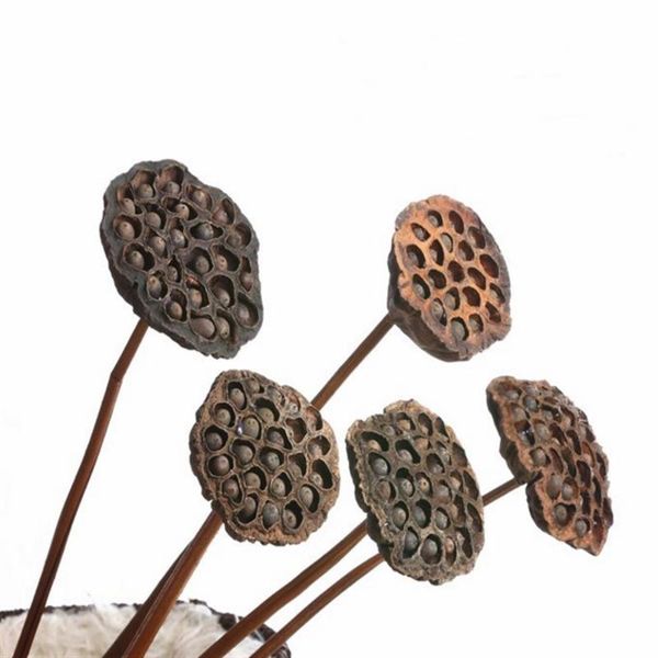 pcs natural dried lotus pods flowers on iron stems home decor artificial crafts party living room decorative & wreaths
pcs natural dried lotus pods flowers on iron stems home decor artificial crafts party living room decorative & wreaths