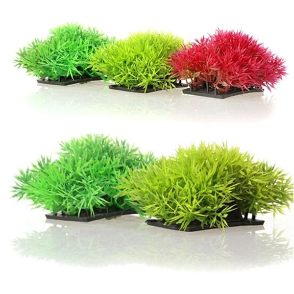 10pcs/lot 12*6cm artificial water grass pine needles thick growth wholesale aquarium fish tank aquaculture pet decoration decorations
10pcs/lot 12*6cm artificial water grass pine needles thick growth wholesale aquarium fish tank aquaculture pet decoration decorations