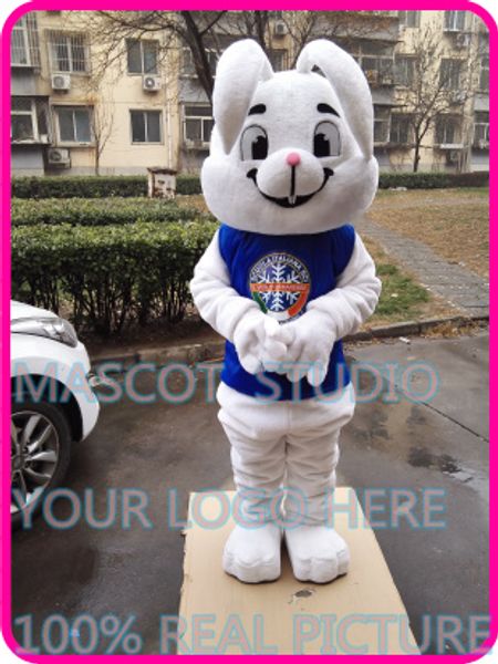 mascot doll costumeeaster bugs mascot bunny rabbit costume custom fancy costume anime kits mascotte fancy dress carnival costume41017, Red;yellow
mascot doll costumeeaster bugs mascot bunny rabbit costume custom fancy costume anime kits mascotte fancy dress carnival costume41017, Red;yellow