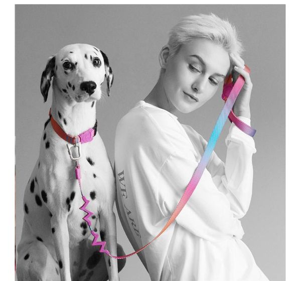 dog collars & leashes buffer and -absorbing pet leash wearable collar multicolor
dog collars & leashes buffer and -absorbing pet leash wearable collar multicolor