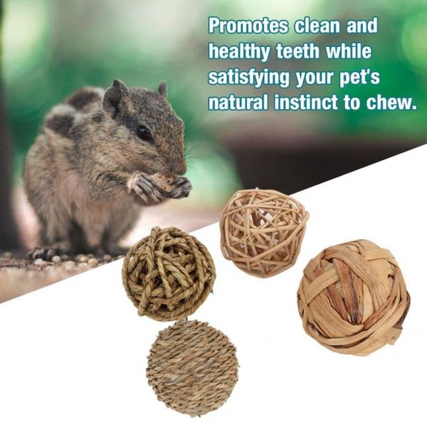 cat toys toy pet for 4pcs small animal activity pets chew balls rabbits guinea pigs gerbils durable exercise
cat toys toy pet for 4pcs small animal activity pets chew balls rabbits guinea pigs gerbils durable exercise