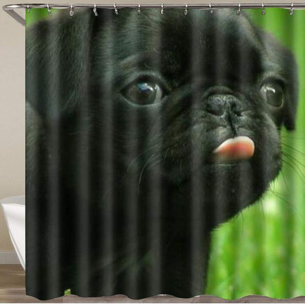 shower curtain,pug dog cute puppy animal,polyester fabric waterproof bath curtains hooks included - 72 x 72 inches
shower curtain,pug dog cute puppy animal,polyester fabric waterproof bath curtains hooks included - 72 x 72 inches