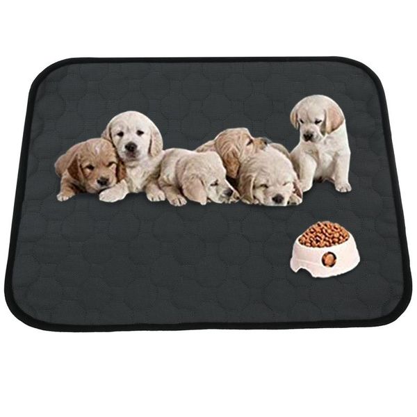 kennels & pens pet dog training diaphragms absorb water and can be washed reused mats washable cleaning pads dark gray 60 x 45 cm
kennels & pens pet dog training diaphragms absorb water and can be washed reused mats washable cleaning pads dark gray 60 x 45 cm