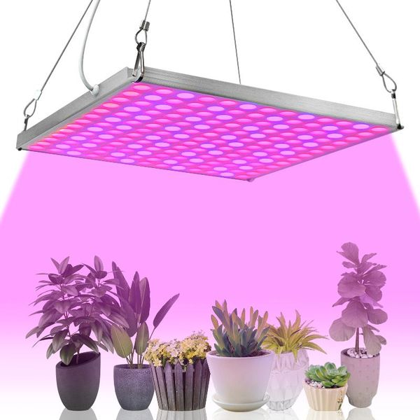 grow light 75w plant lights 169 pcs red blue panel growing lamps with hanging chains for indoor greenhouses plants lamp
grow light 75w plant lights 169 pcs red blue panel growing lamps with hanging chains for indoor greenhouses plants lamp