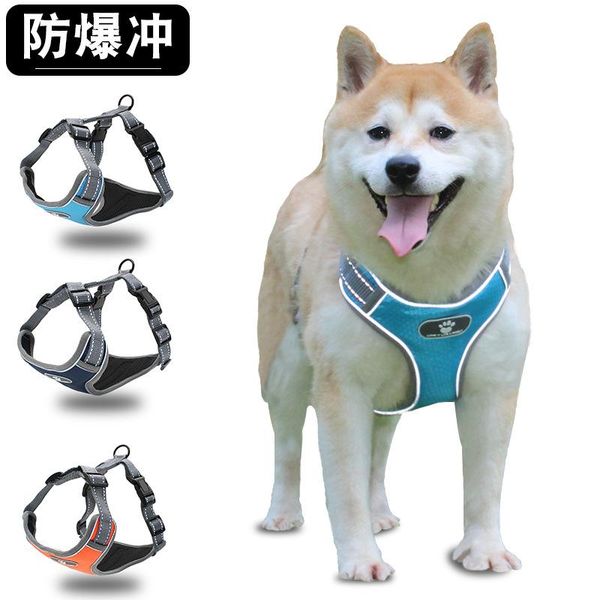 dog collars & leashes medium large chest strap explosion-proof vest-type reflective big chain spot wholesale
dog collars & leashes medium large chest strap explosion-proof vest-type reflective big chain spot wholesale