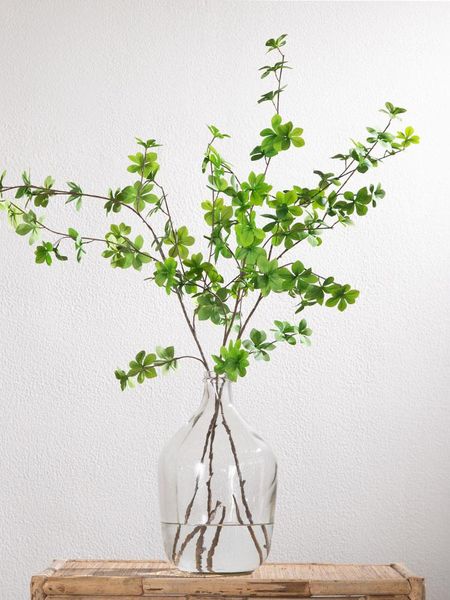 decorative flowers & wreaths home decor artificial plant leaf simulation christmas wedding decoration indoor tableornaments plants
decorative flowers & wreaths home decor artificial plant leaf simulation christmas wedding decoration indoor tableornaments plants