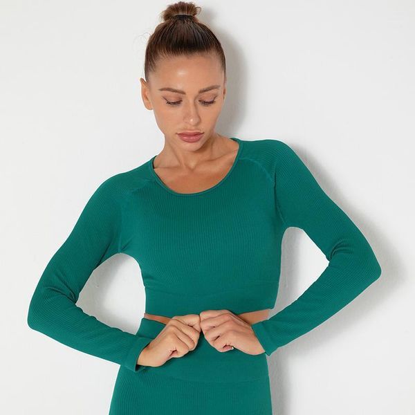 yoga outfit women longsleeve shirts solid seamless quick dry training sportswear gym clothings running outdoor female
yoga outfit women longsleeve shirts solid seamless quick dry training sportswear gym clothings running outdoor female