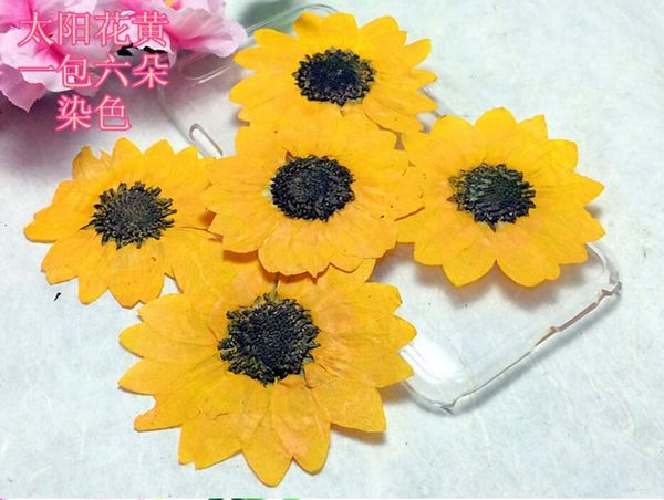 decorative flowers & wreaths 120pcs 5cm pressed dried red/yellow sunflower flower plant herbarium for jewelry pendant ring earrings making a
decorative flowers & wreaths 120pcs 5cm pressed dried red/yellow sunflower flower plant herbarium for jewelry pendant ring earrings making a