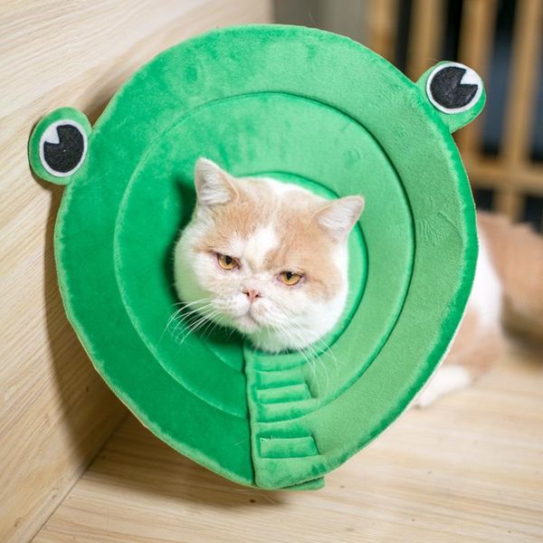 cat collars & leads pet supplies cute frog collar anti scratch lick head comfortable soft short plush cats
cat collars & leads pet supplies cute frog collar anti scratch lick head comfortable soft short plush cats