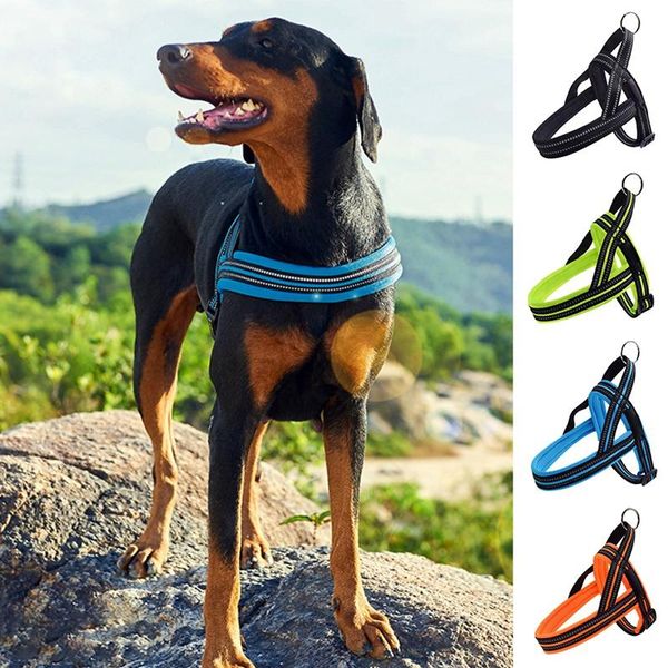 dog collars & leashes pet summer harnesses outdoor walking breathable supply repflctive adjustable for cat dogs
dog collars & leashes pet summer harnesses outdoor walking breathable supply repflctive adjustable for cat dogs