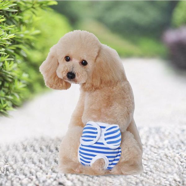 new small female cute pet dog panty sanitary pants underwear cute hygienic pant short cotton pet physiological panties briefs promotion
new small female cute pet dog panty sanitary pants underwear cute hygienic pant short cotton pet physiological panties briefs promotion