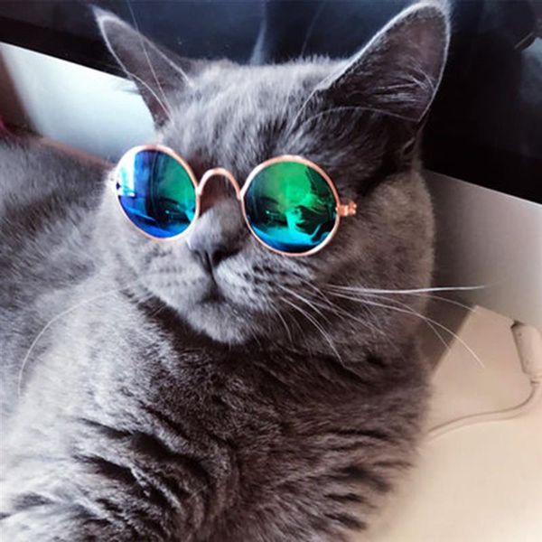 dog apparel pet cat glasses lovely eye-wear sunglasses pos prop accessoires products for little
dog apparel pet cat glasses lovely eye-wear sunglasses pos prop accessoires products for little