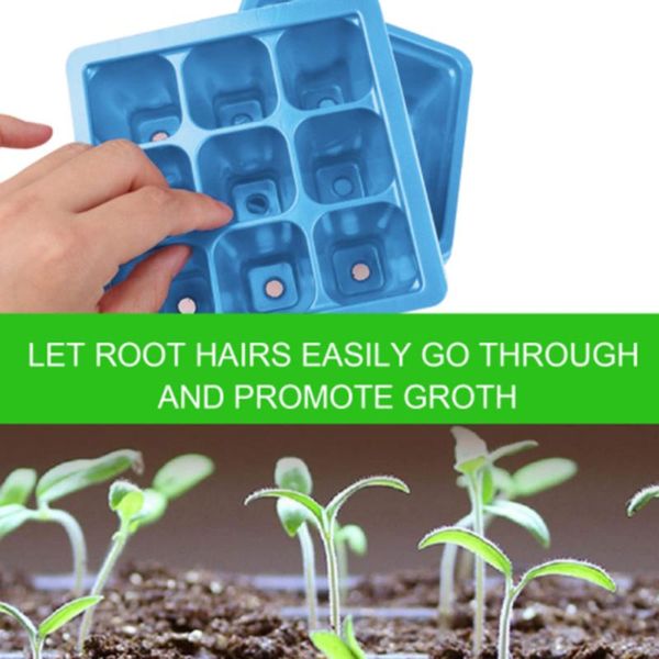holes plants tray starter trays greenhouse grow humidity adjustable plant kits planters & pots
holes plants tray starter trays greenhouse grow humidity adjustable plant kits planters & pots