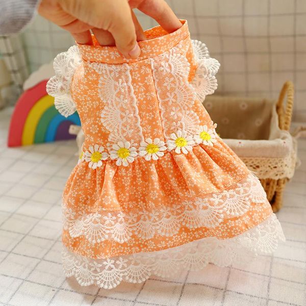 dog apparel luxury summer clothes cute medium korean small chihuahua dogs dress girl vestido de noiva princesa puppy kk6gqz
dog apparel luxury summer clothes cute medium korean small chihuahua dogs dress girl vestido de noiva princesa puppy kk6gqz