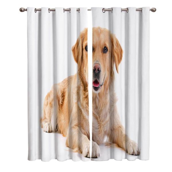 curtain & drapes golden retriever pet dog curtains for kids boy girl bedroom living room cortinas custom drape kitchen window
curtain & drapes golden retriever pet dog curtains for kids boy girl bedroom living room cortinas custom drape kitchen window
