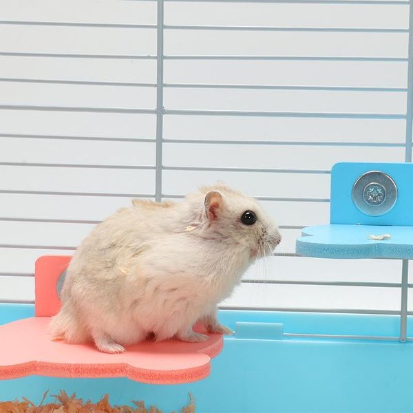 1pc hamster platform creative bird perch small pet interactive training toy supplies favors animal
1pc hamster platform creative bird perch small pet interactive training toy supplies favors animal