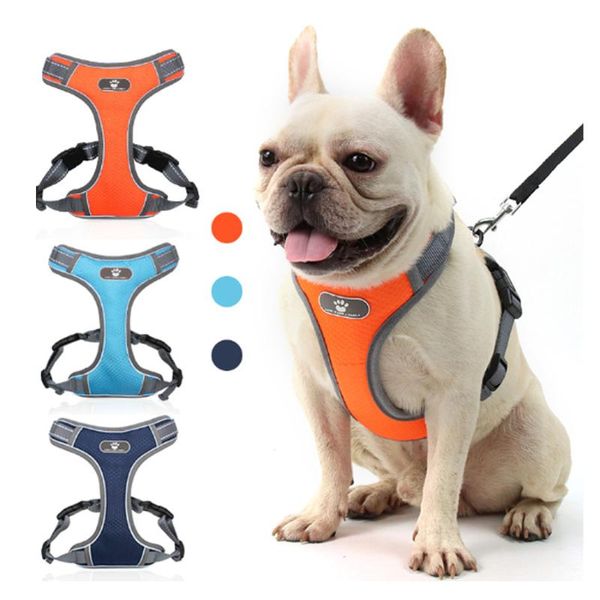 nylon puppy dog cat harness breathable reflective dogs vest for pug walking training collars & leashes
nylon puppy dog cat harness breathable reflective dogs vest for pug walking training collars & leashes