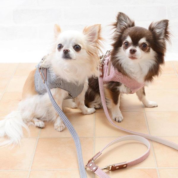 pet chest strap / dog traction japanese and korean high-end manual denim series collars & leashes
pet chest strap / dog traction japanese and korean high-end manual denim series collars & leashes