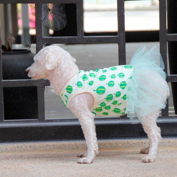 dog apparel 2021 fashion cute pet dress spring and summer fruit pattern patchwork costumes skirt clothes m#20
dog apparel 2021 fashion cute pet dress spring and summer fruit pattern patchwork costumes skirt clothes m#20