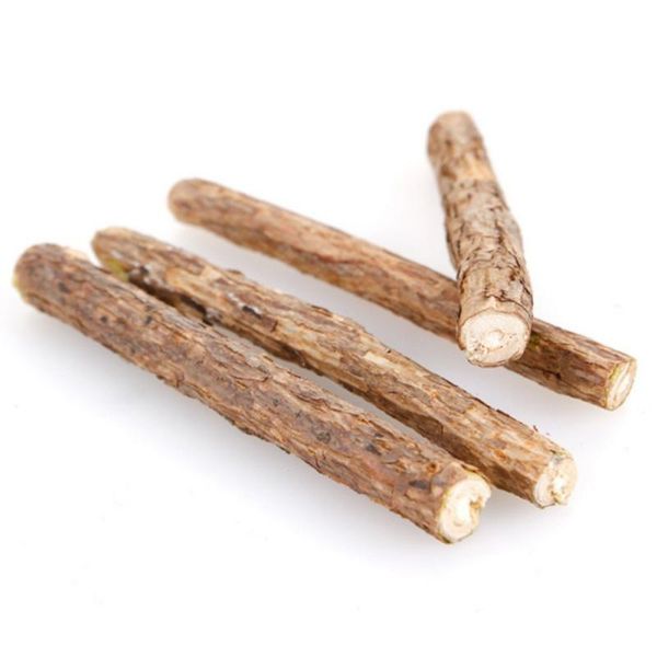 cat cleaning teeth pure natural catnip pet fruit matatabi sticks molar toothpaste stick silvervine actinidia toys
cat cleaning teeth pure natural catnip pet fruit matatabi sticks molar toothpaste stick silvervine actinidia toys