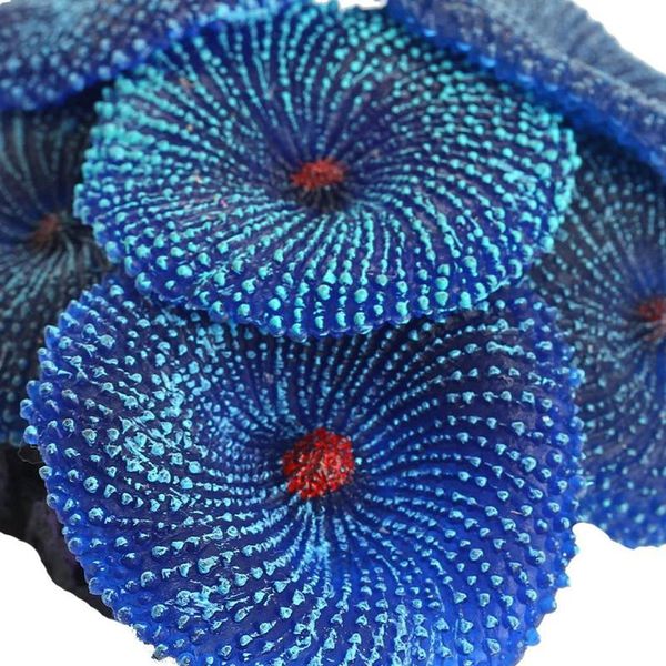 aquarium artificial colorful coral fish tank landscape decoration plant simulation vivid soft reef lanscaping ornaments decorations
aquarium artificial colorful coral fish tank landscape decoration plant simulation vivid soft reef lanscaping ornaments decorations