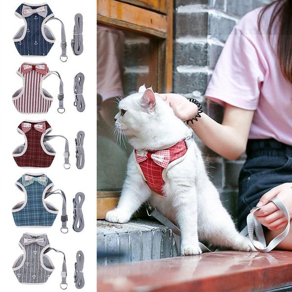hoopet cat harnesses bow tie vest walking lead leash pet set for small medium collars & leads
hoopet cat harnesses bow tie vest walking lead leash pet set for small medium collars & leads