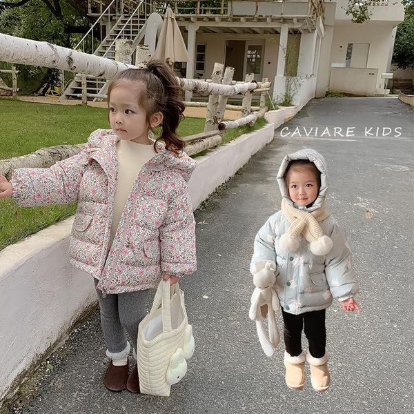 down coat children's clothing 2021 winter cute print hooded 90 white duck jacket girls thick warm, Blue;gray
down coat children's clothing 2021 winter cute print hooded 90 white duck jacket girls thick warm, Blue;gray