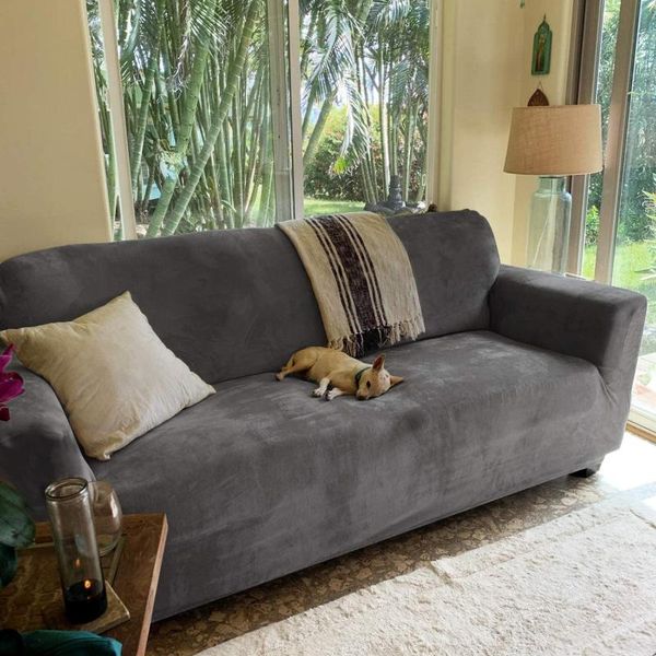 chair covers rose home fashion rhf velvet loveseat slipcover slipcovers for couches and loveseats, cover&couch cover dogs
chair covers rose home fashion rhf velvet loveseat slipcover slipcovers for couches and loveseats, cover&couch cover dogs