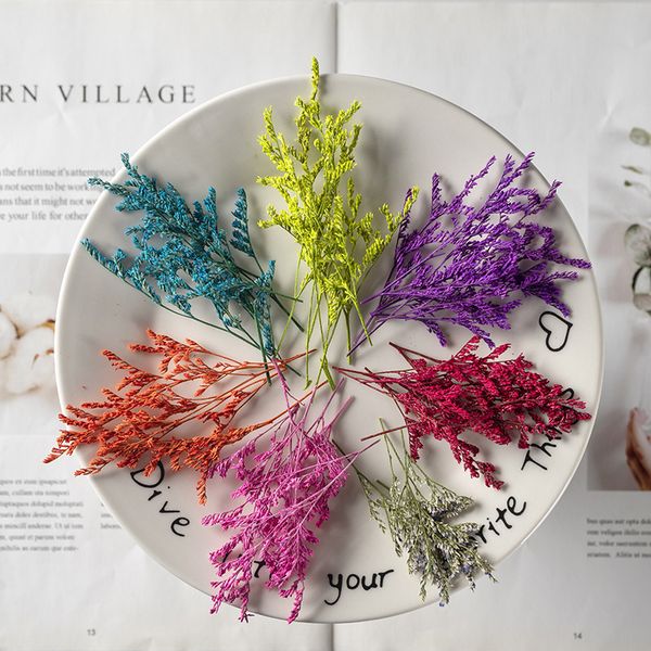 artificial flowers and plants teaching dried natural true flower specimens festival gift design
artificial flowers and plants teaching dried natural true flower specimens festival gift design