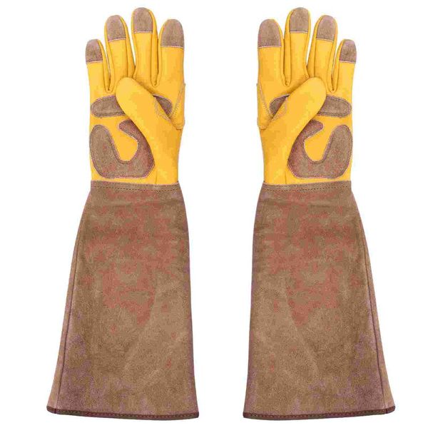 disposable gloves 1pair beekeeping protective anti-stab durable gardening (yellow)
disposable gloves 1pair beekeeping protective anti-stab durable gardening (yellow)